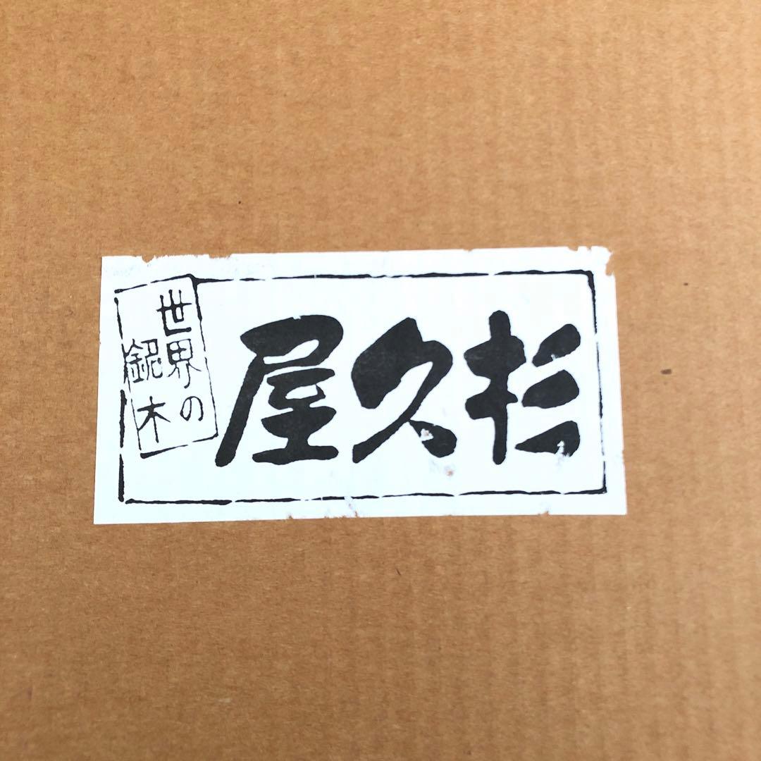 屋久杉　壁掛け　彫刻扇　寿　松竹梅