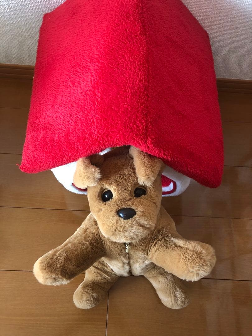 ダッキースター&ダッキーのおうち　　説明書付き　ココチモ