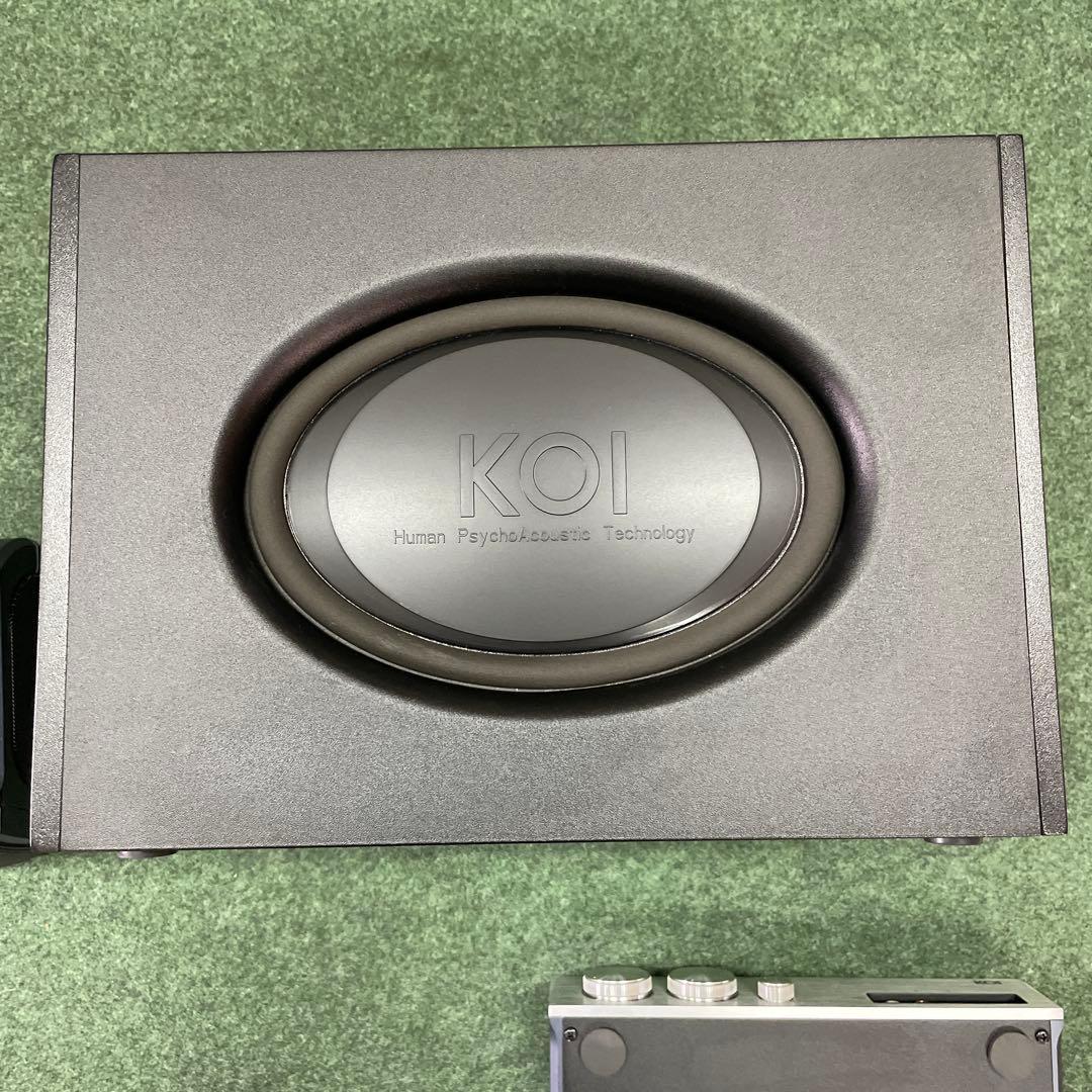 KOI タイガー　パワードスピーカー