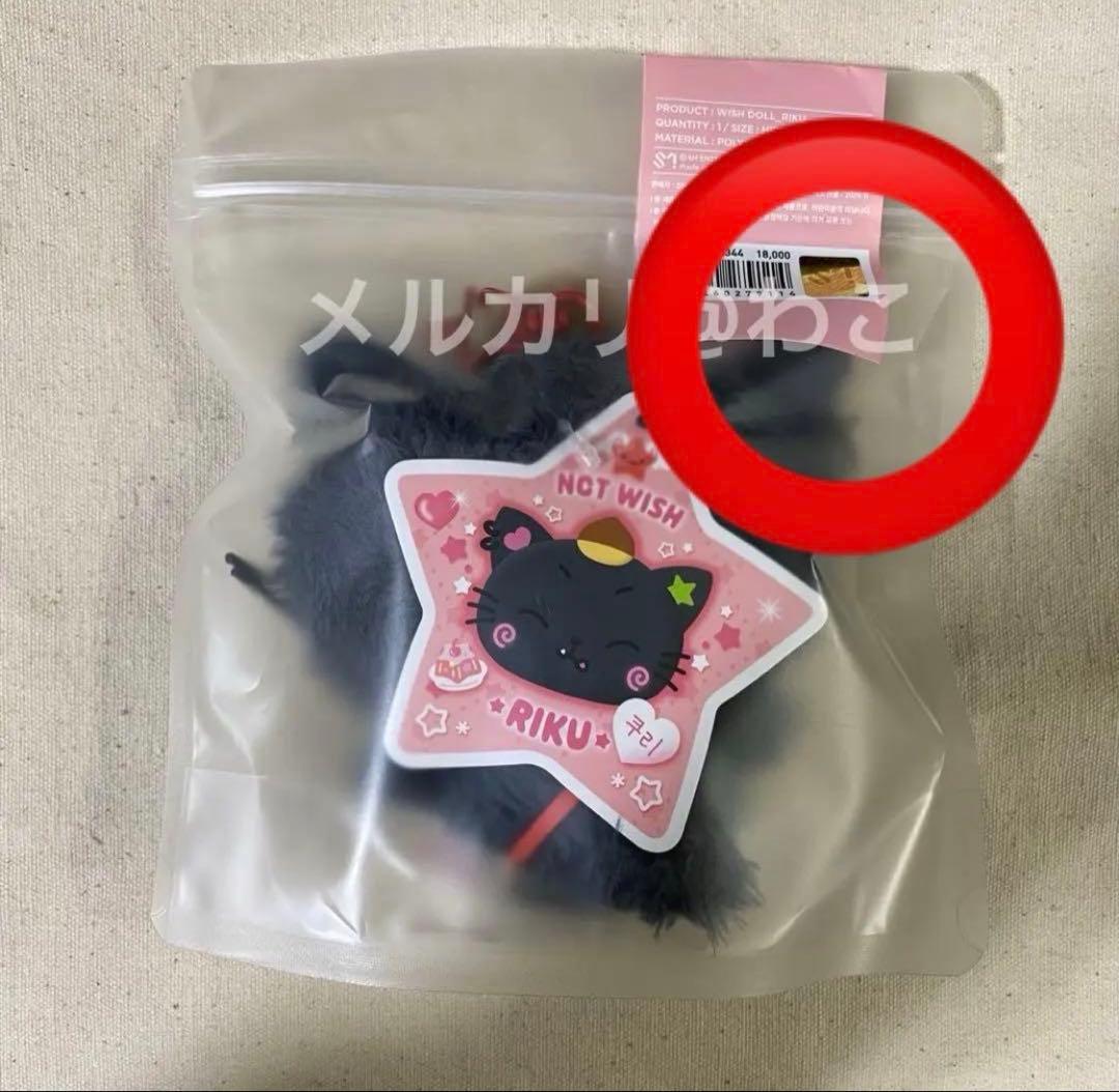 NCT WISH WISH DOLL steady MD ぬいぐるみ リク クリ