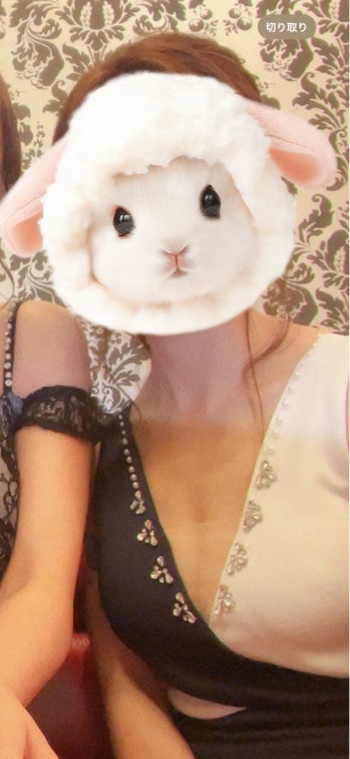 a*3様 ナイトドレス・キャバドレスセット　９点　まとめ売り