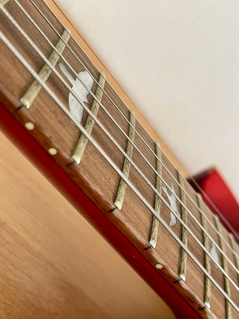 PRS(Paul Reed Smith) ポールリードスミス SE エレキギター