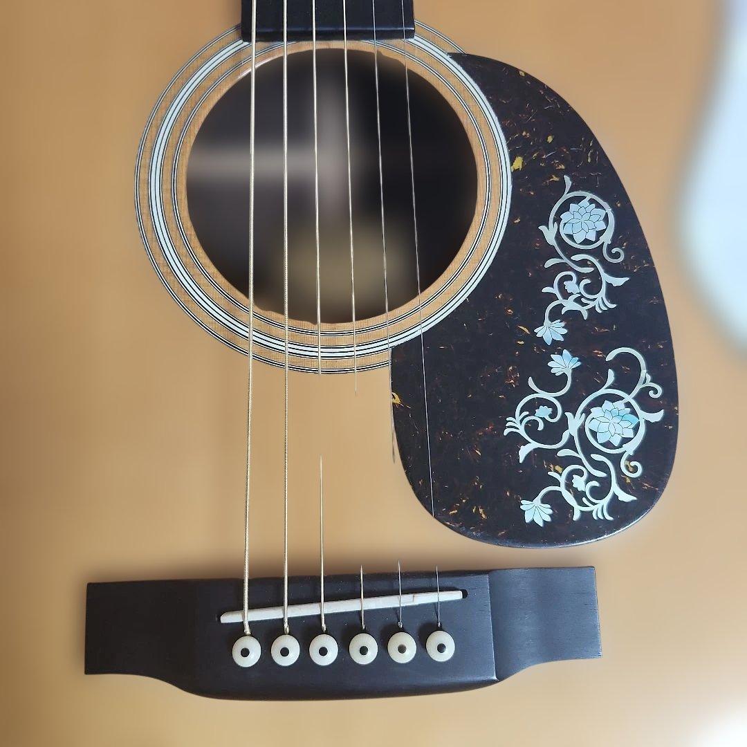 Headway HF-201 カスタム(訳アリ) 専用ケース付き