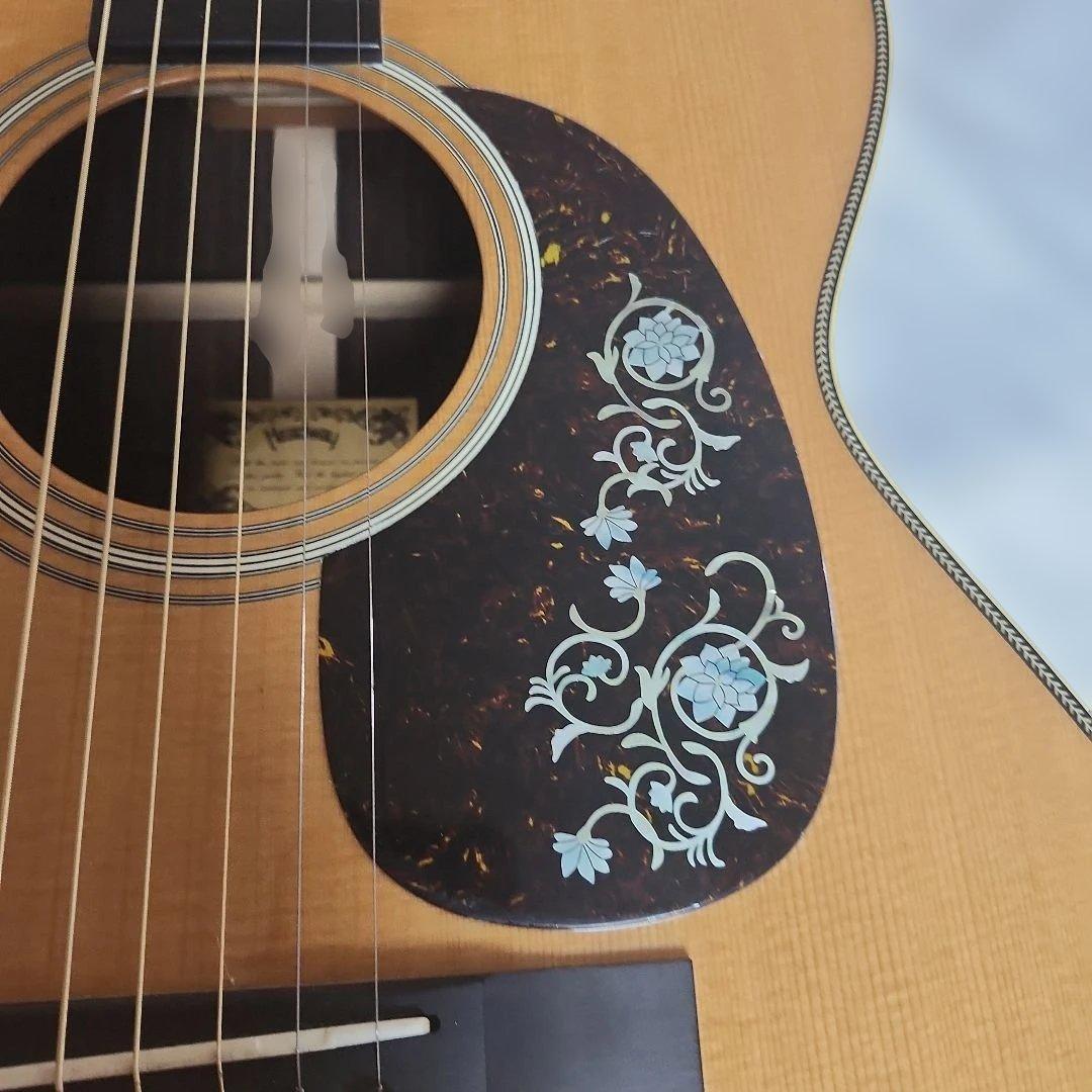 Headway HF-201 カスタム(訳アリ) 専用ケース付き