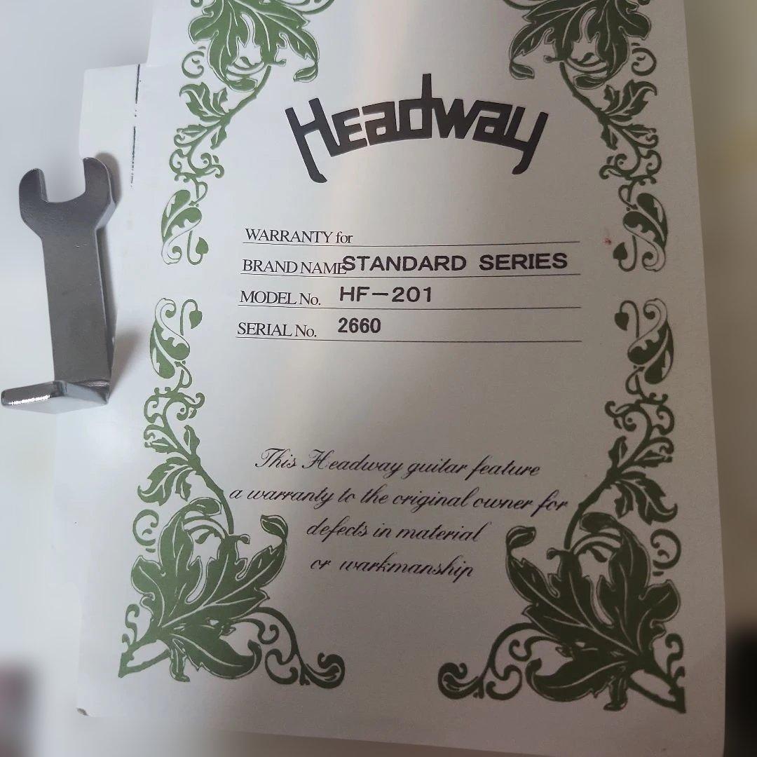 Headway HF-201 カスタム(訳アリ) 専用ケース付き