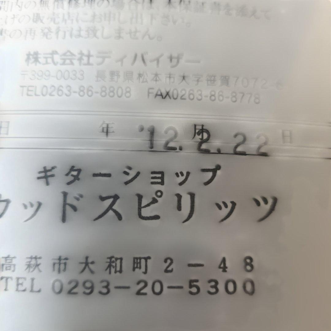Headway HF-201 カスタム(訳アリ) 専用ケース付き