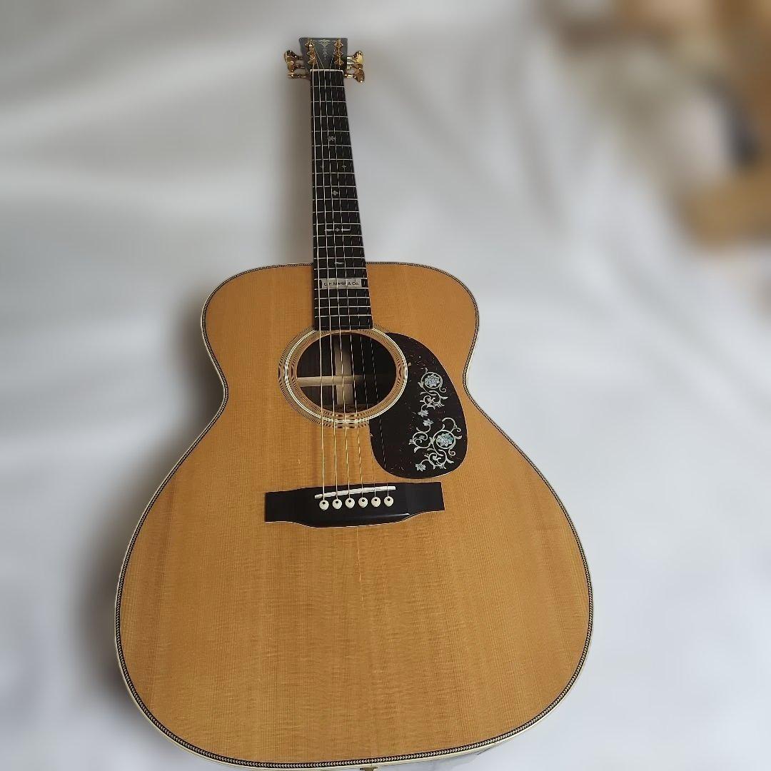 Headway HF-201 カスタム(訳アリ) 専用ケース付き