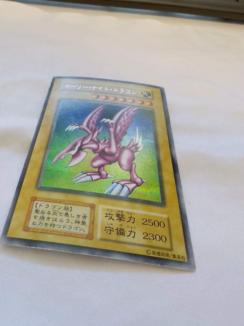 ホーリーナイトドラゴン　初期　シク