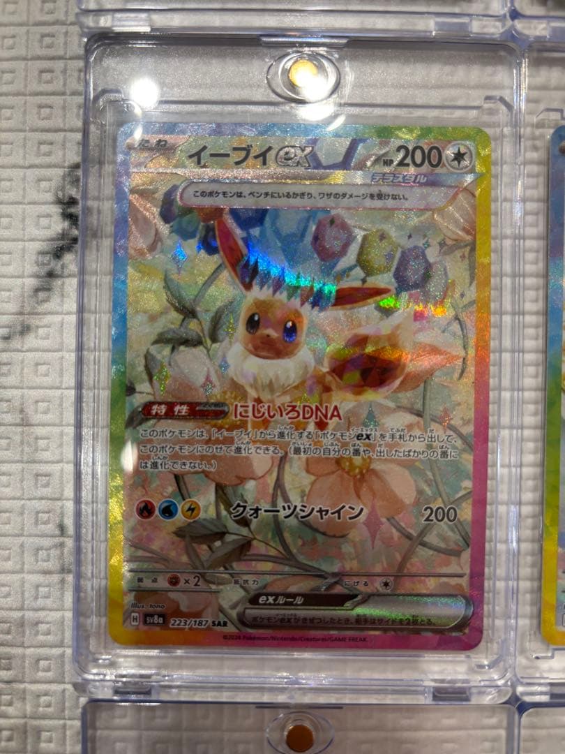 テラスタルフェスex ブイズ SAR 9枚 まとめ売りセット