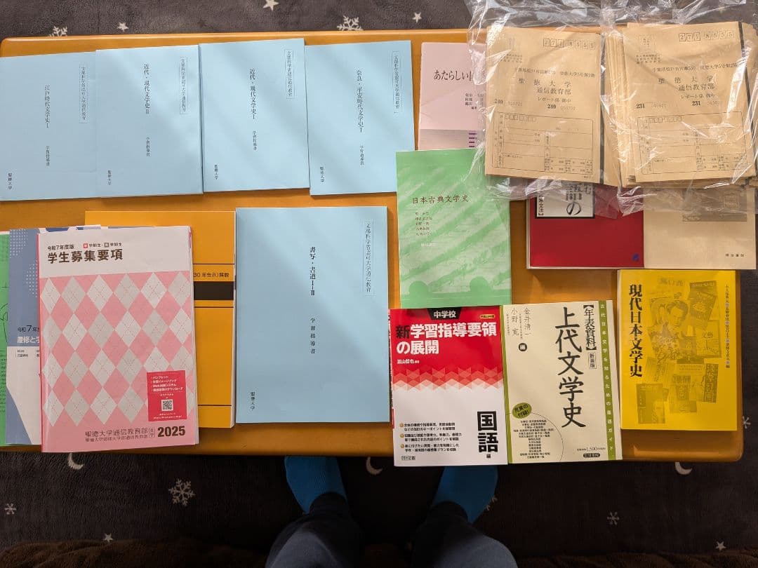 【即ご購入可能です。】聖徳大学 文学・小説 学習資料 2025年度