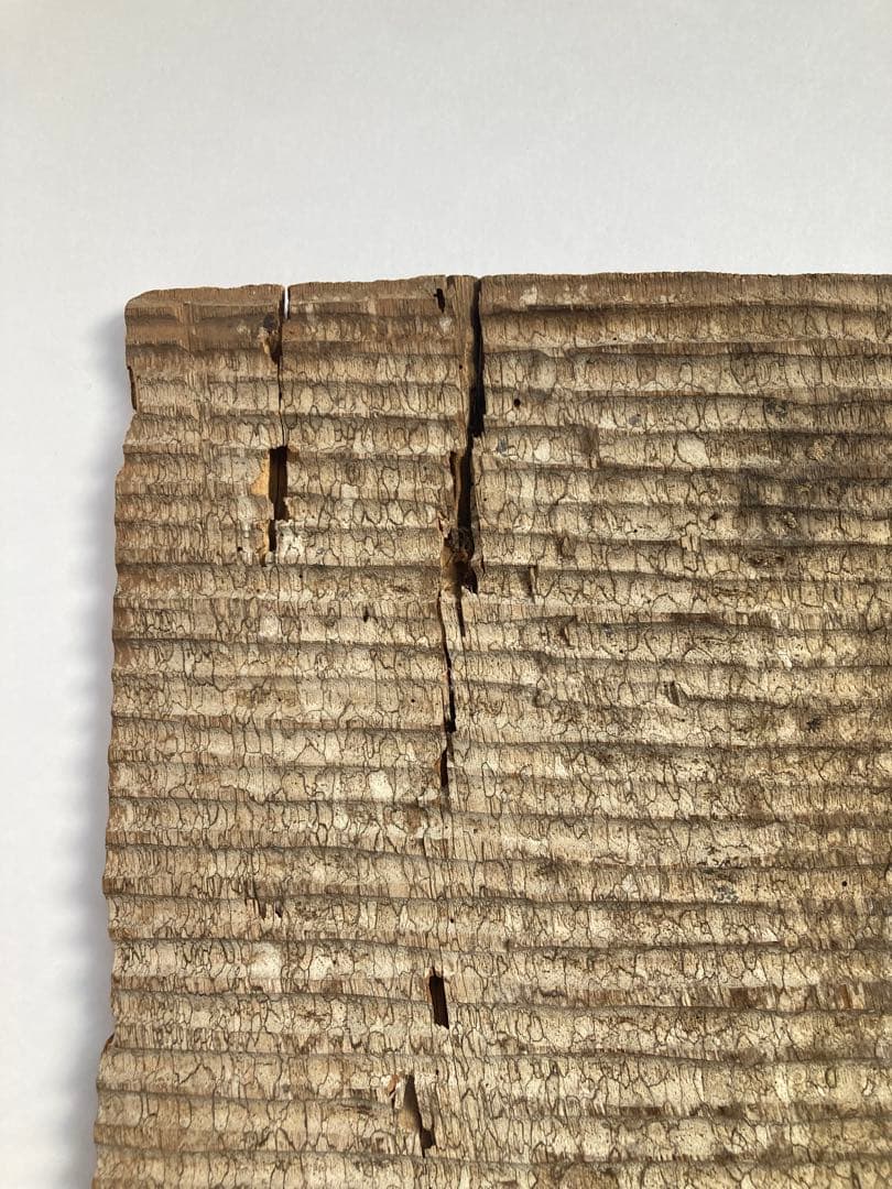 スラウェシ島　トラジャ族の穀物庫の壁板