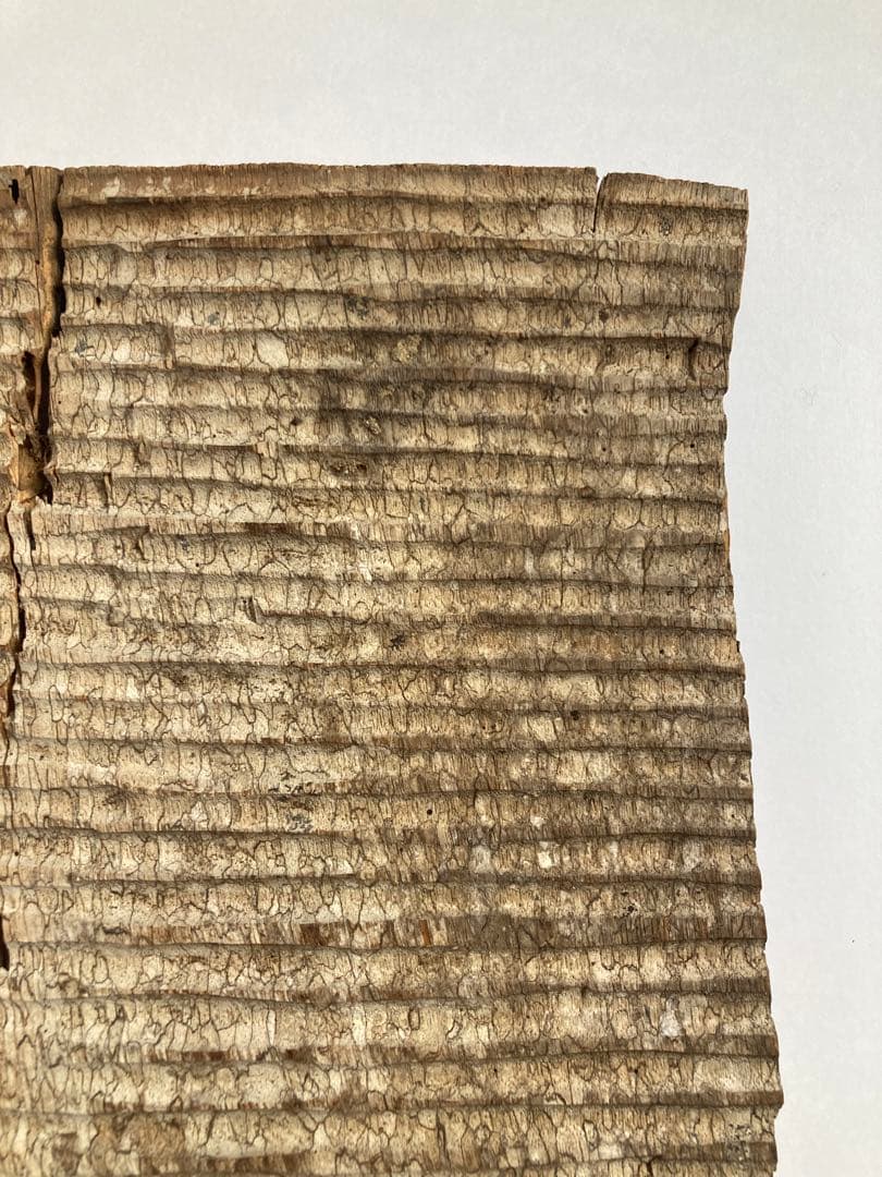 スラウェシ島　トラジャ族の穀物庫の壁板