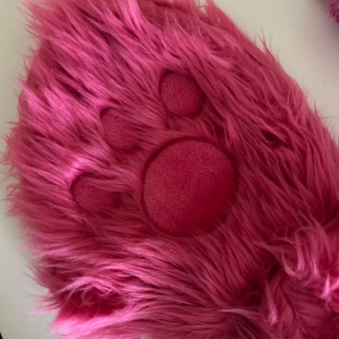 ディズニー　チシャ猫　フード付きマフラー　パスケース　サングラス　セット