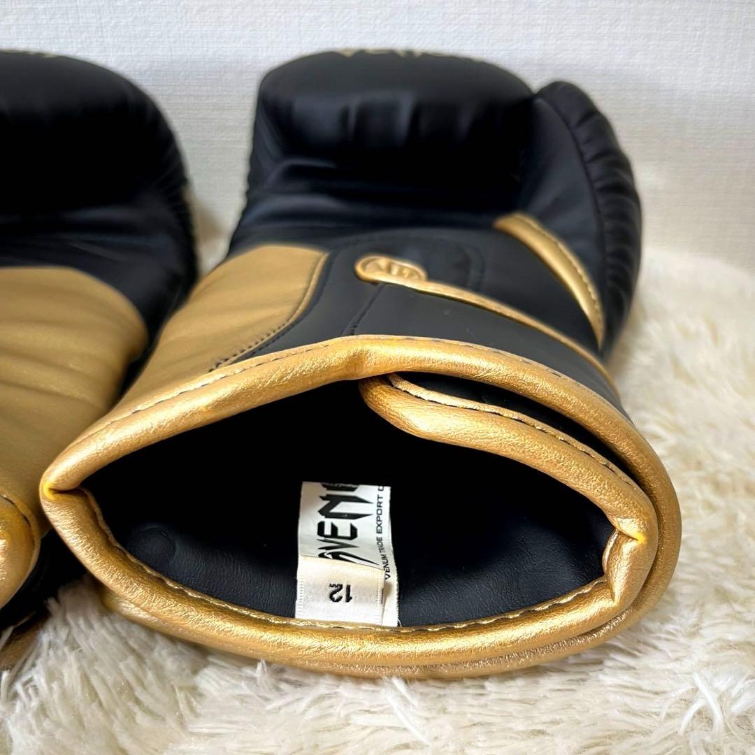 【未使用級】Venum Petrosyan ボクシンググローブ 12Oz