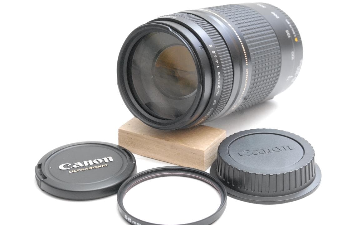 CANON ZOOM LENS EF 75-300mm 1:4-5.6 ⅡUSM
