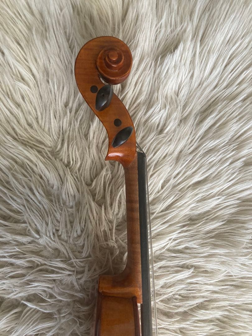 バイオリン 4/4　GLIGA グリガ Gems ゲムス