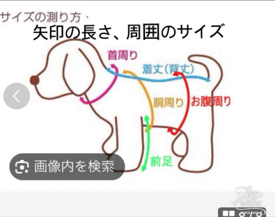 B449.pon2pan2☆犬オーダーお着物☆犬お引き摺り着物☆犬2ウェイ着物