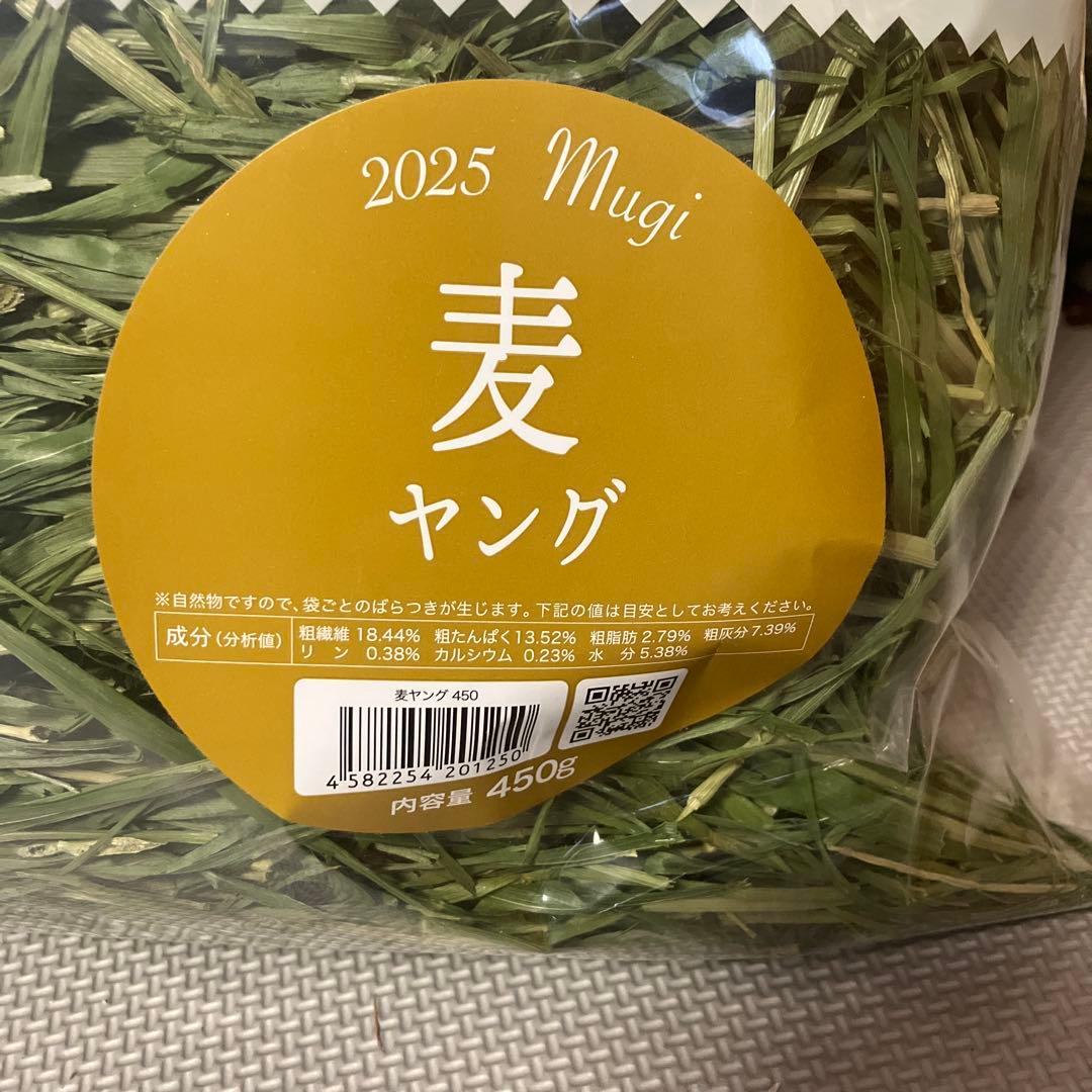 ウーリー高原の朝採り牧草 麦ヤング2025 4袋