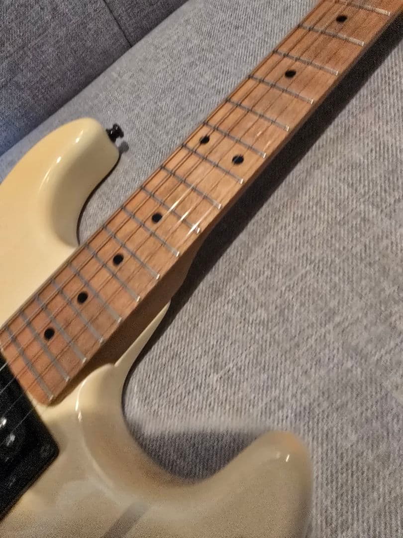 ESP カスタムオーダー エレキギター