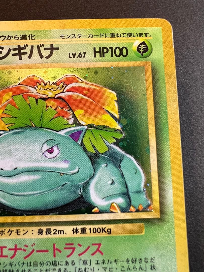 【美品❗️】フシギバナ　キラ