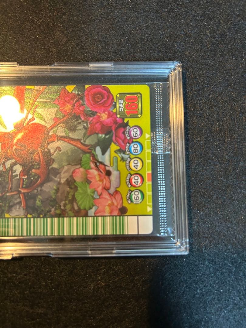 【激レア】ムシキング 5周年プロモカード カードホルダー付録　未開封完品