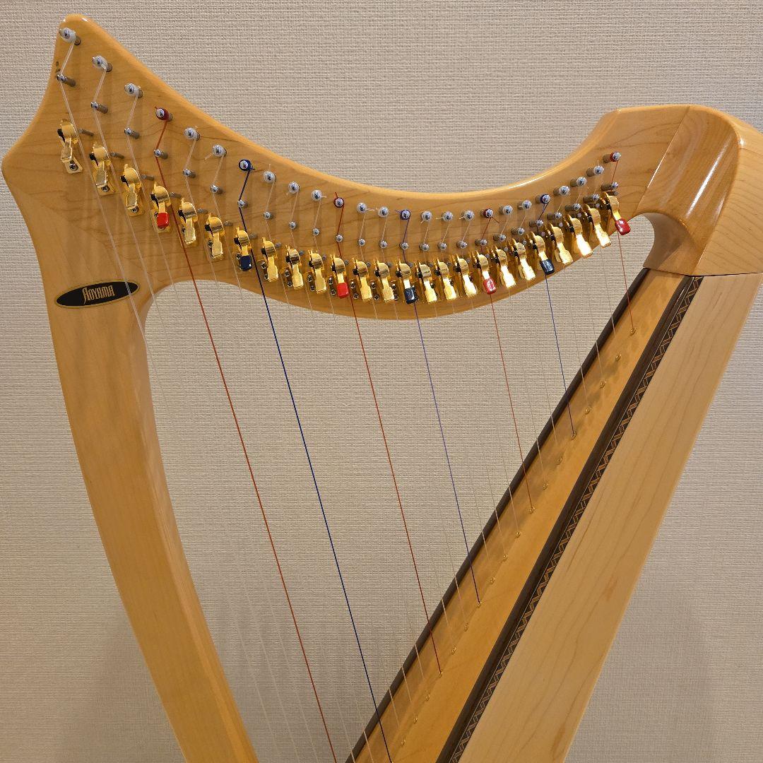 青山ハープ社製25弦サウルハープ(メープル材)