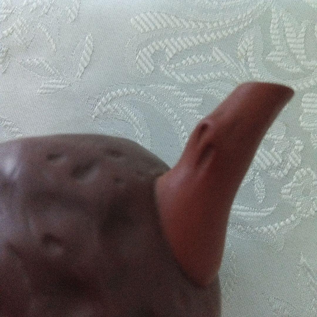 煎茶道具　中国宜興　紫砂　急須 茶壺　在銘