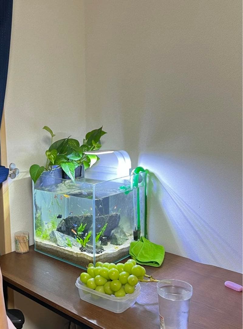 アクアリウムセット