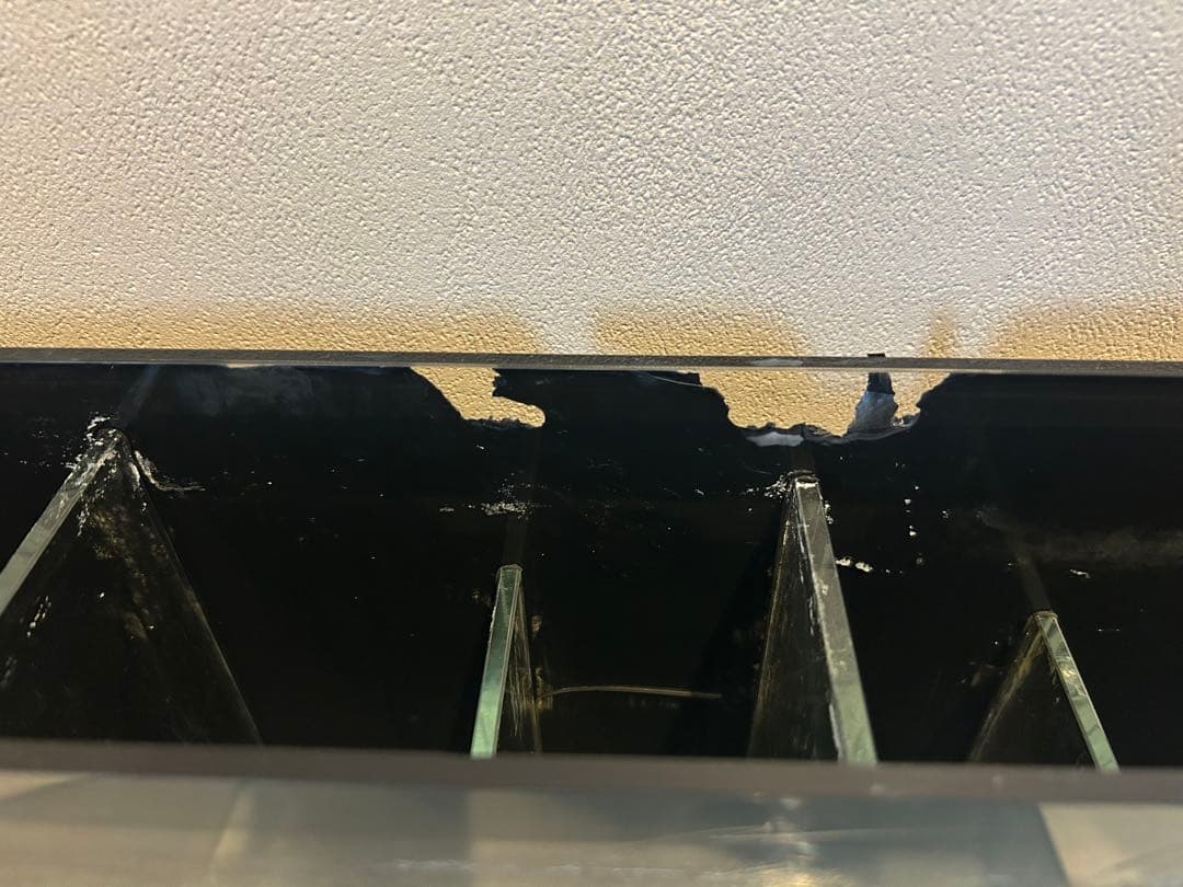 【豪華おまけ付】ORCA オルカ シェル2 水槽 & キャビネット セット