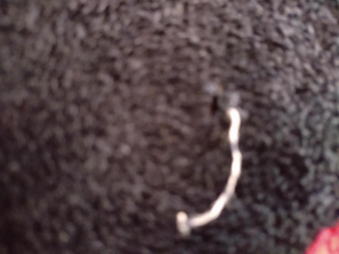 太*号様 矢沢永吉 E FEELIN' COME HA～HA 1986 黒