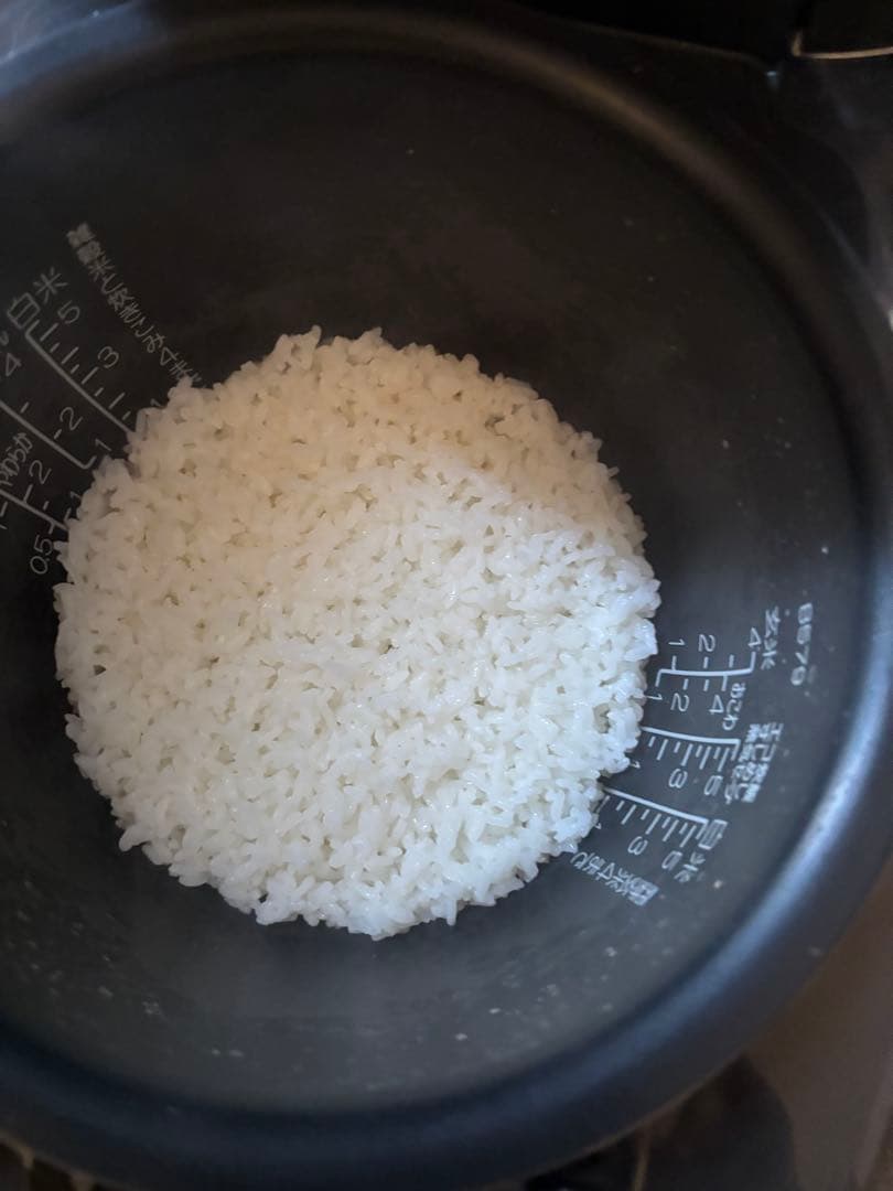 象印 圧力IH炊飯器5.5合 ★豪炎かまど釜 NW-JA10-BA 2022年製