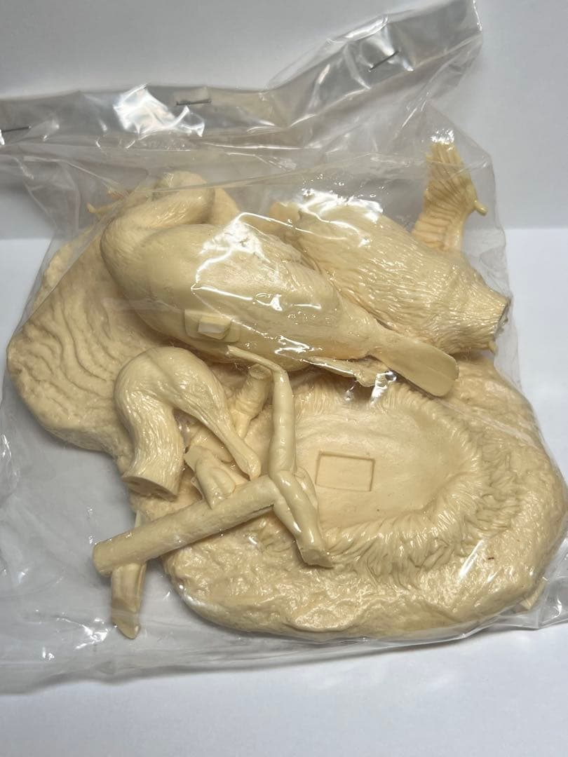 海洋堂　ガラパコスコバネウ　レジンキット 動物 生き物 フィギュア　松村しのぶ