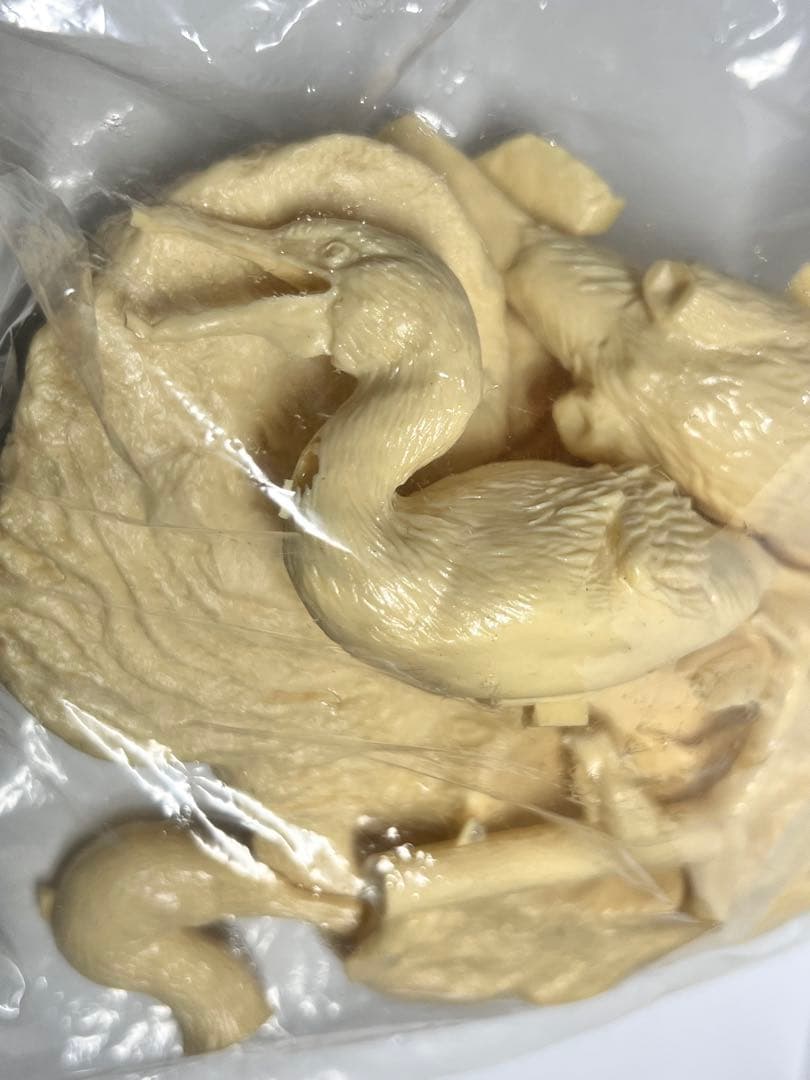 海洋堂　ガラパコスコバネウ　レジンキット 動物 生き物 フィギュア　松村しのぶ