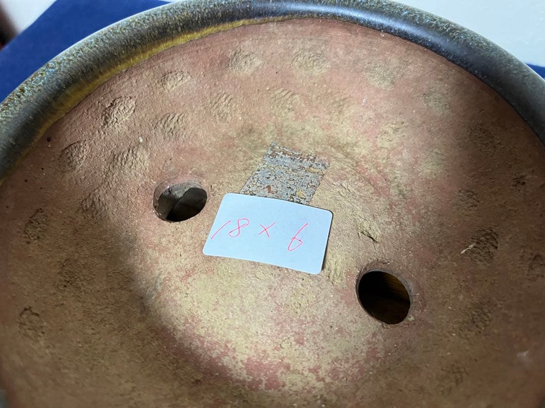 185 盆栽　盆栽鉢　植木鉢　和鉢　燿山