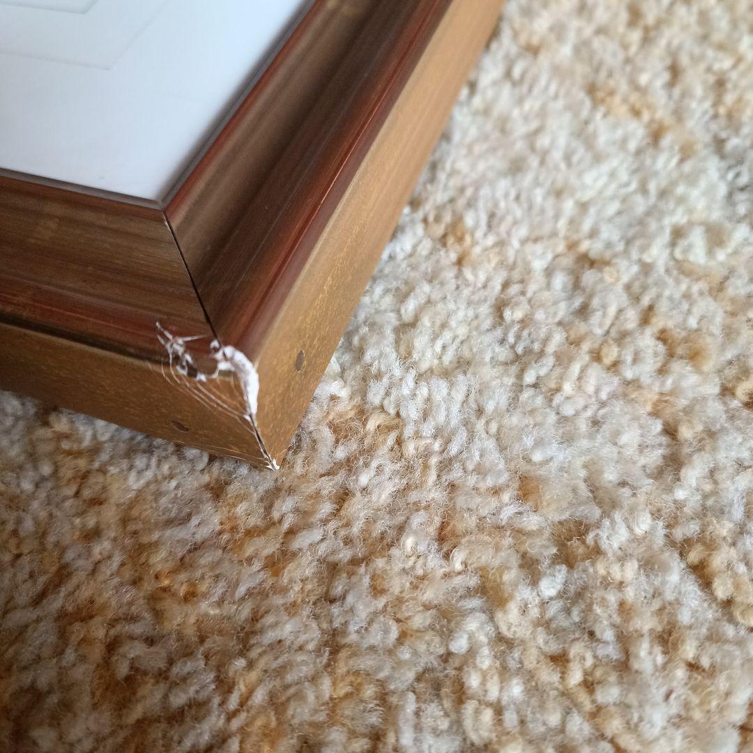 ルイイカール エッチング スワロー