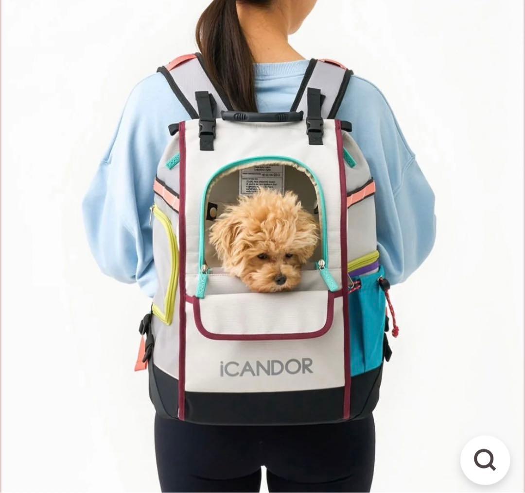 iCANDOR 多色バックパック メッシュポケット付き　Mサイズ