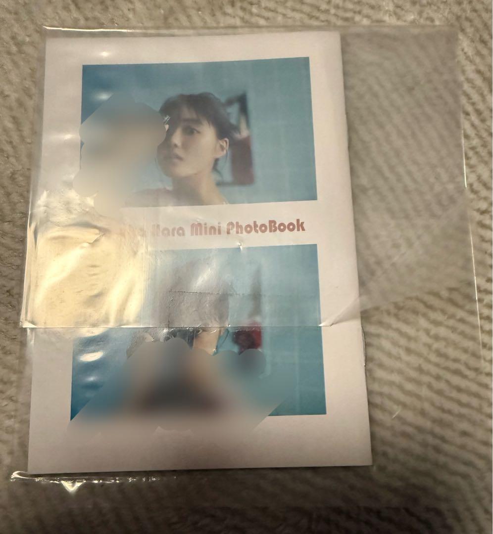 早い者勝ち‼️原菜乃華1st写真集　はなのいろ　激レア　ミニフォトブック新品未開封