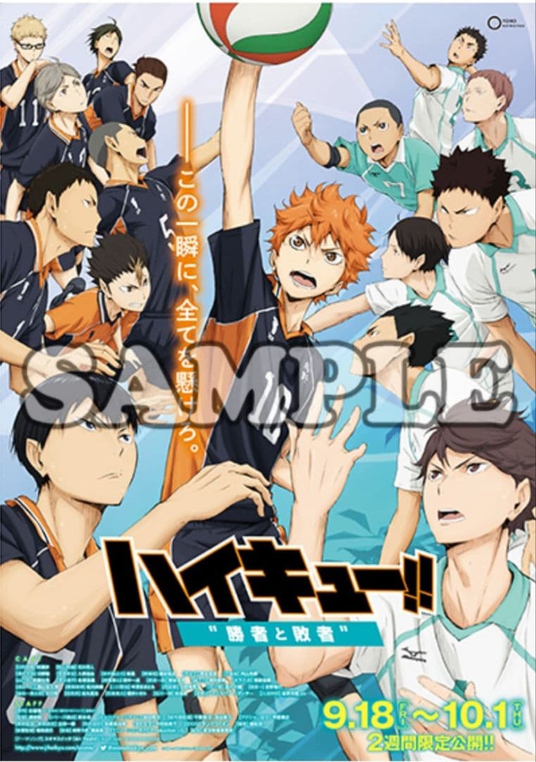 ハイキュー!!　Ｂ2劇場宣伝ポスター　アニメイト特典　激レア　希少　劇場版