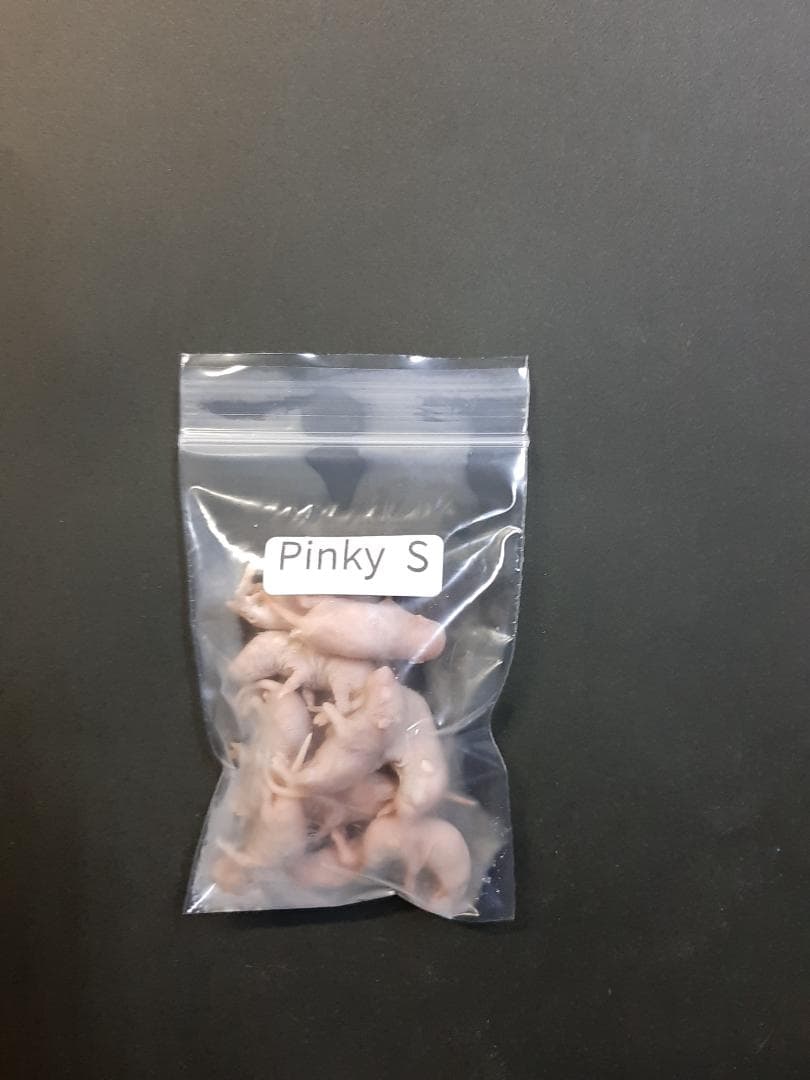 ★Lates101★国産冷凍マウス ピンクS 200匹