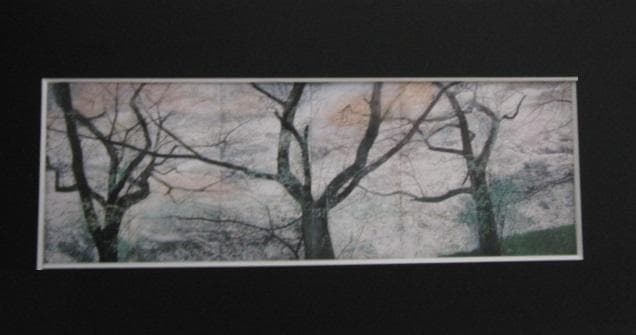 梅原幸雄、【花筏】、希少な額装用画集より、新品額装付