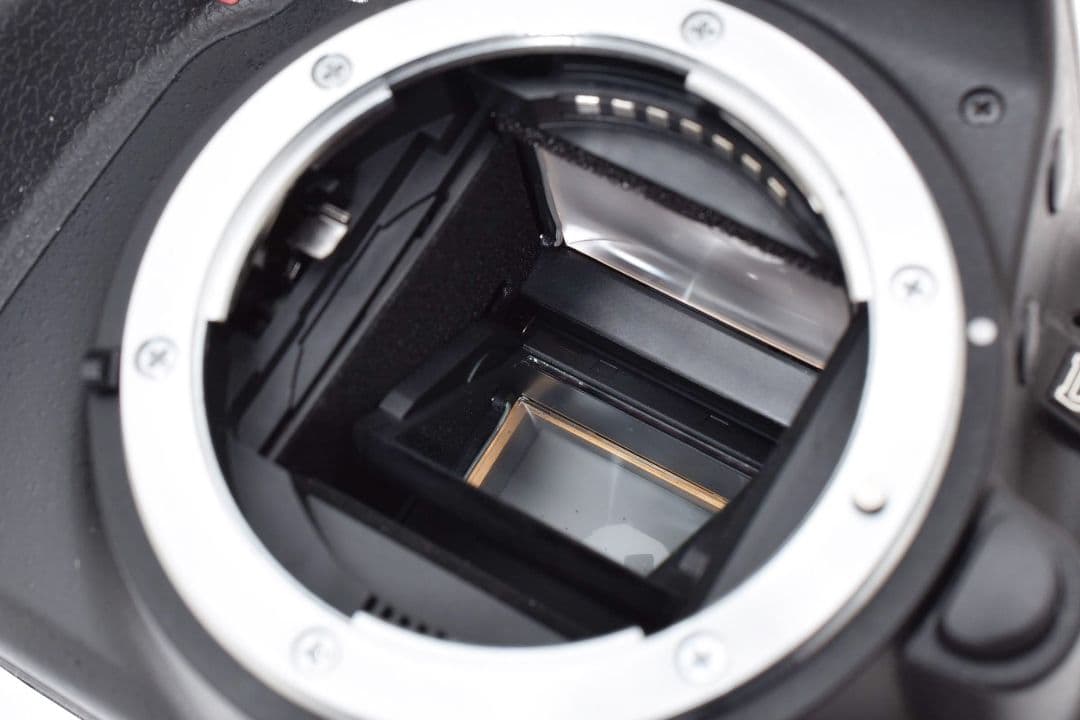 初心者さんに◎超美品✨ニコン D3100✨標準ズーム シングルレンズセット✨軽量