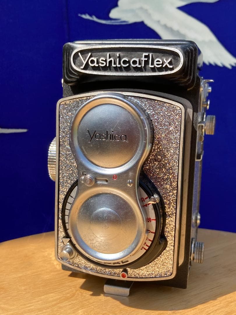 爽やかな風に乗って　キラキラ感２ＵＰ　YASHICA FLEX インテリアにも