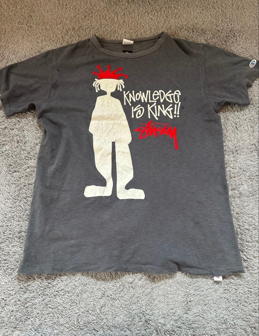 【希少】old stussy ×champion Tシャツ