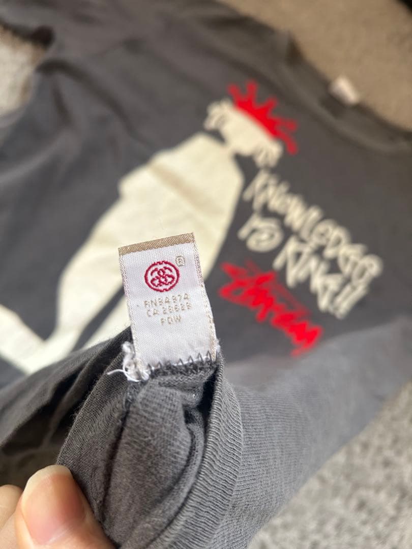 【希少】old stussy ×champion Tシャツ
