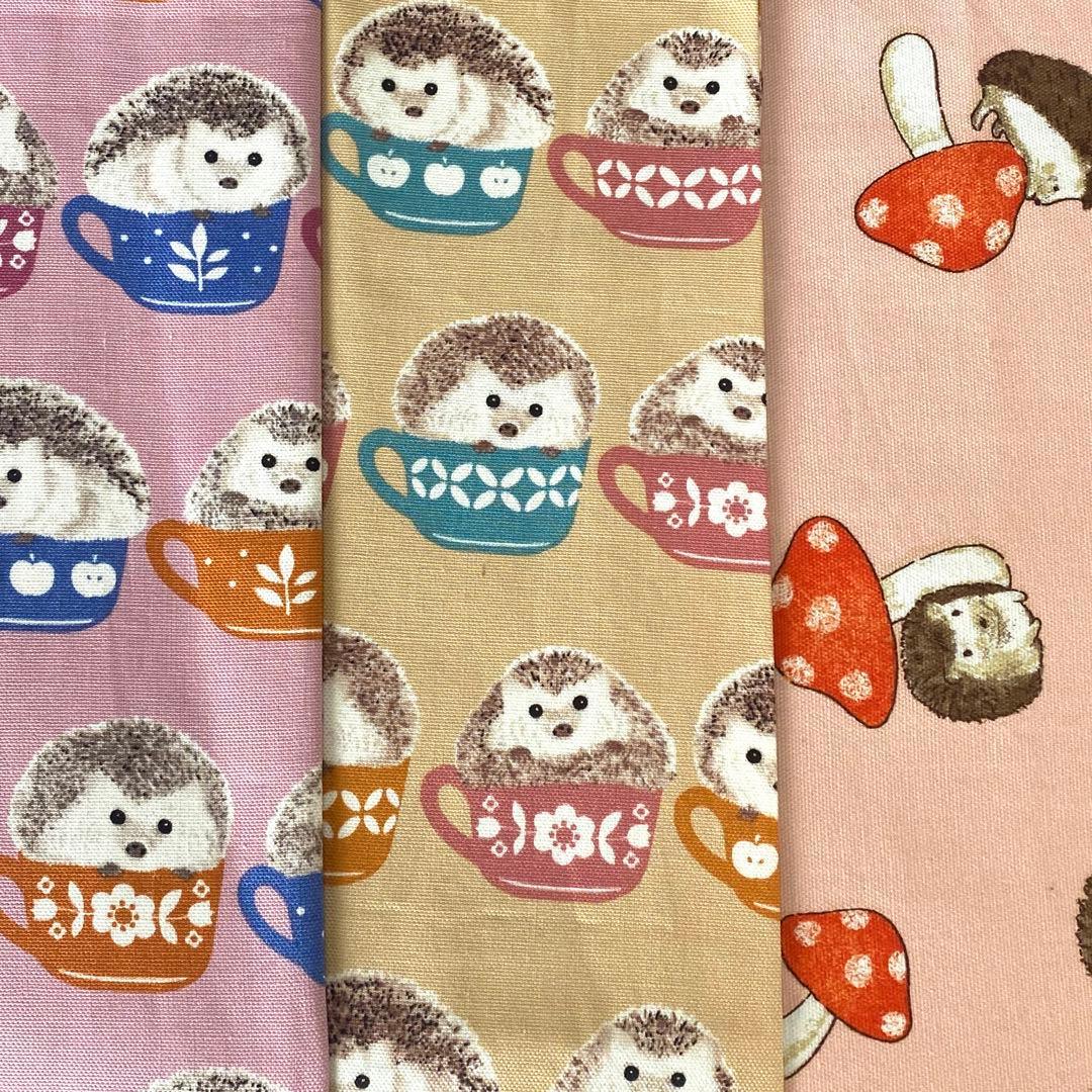 ハリネズミドーム型ハウス