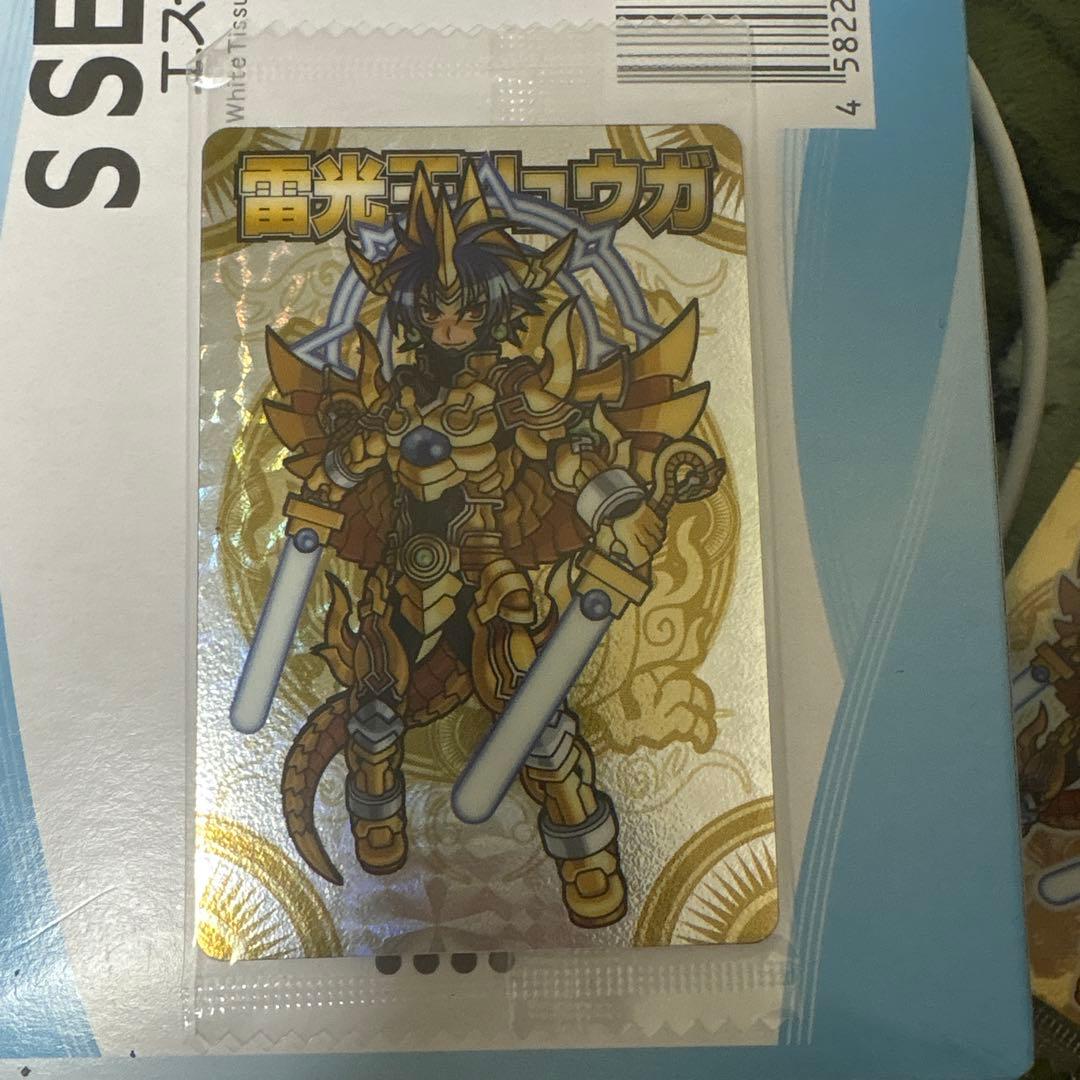 雷光モリュウガ トレーディングカード 007