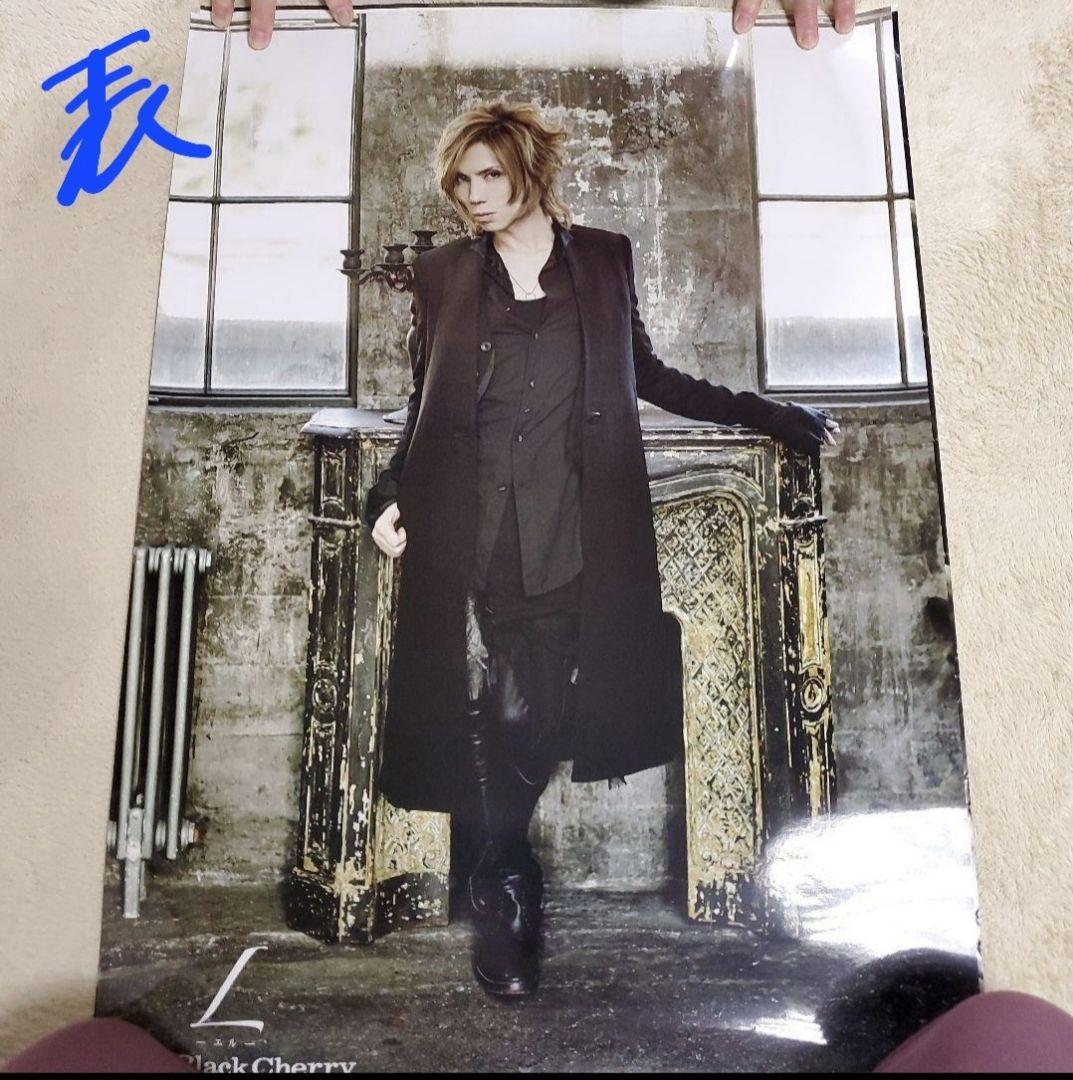 Acid Black Cherry L 両面ポスター　その①