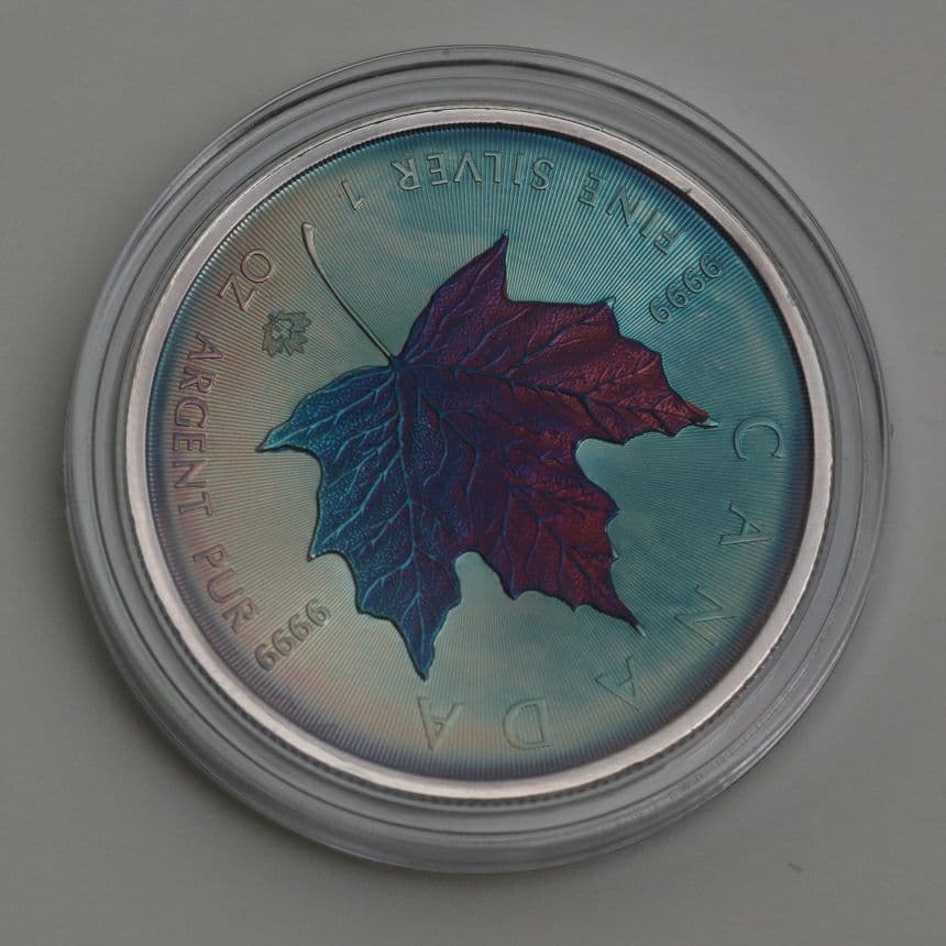 奈*☆様 銀貨　トーンドシルバー　Gump作No.23061505