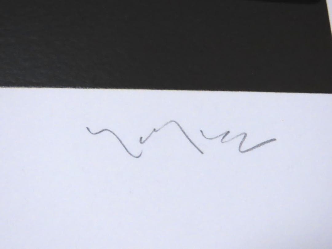 【ヒロ・ヤマガタ】　アースリーインベニス　シルクスクリーンシート　山形博導