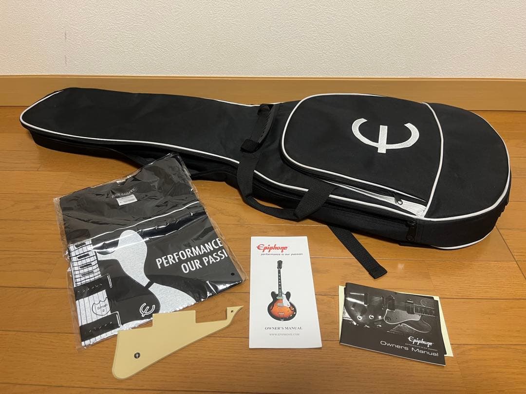 ギター Epiphone Les Paul PlusTop PRO